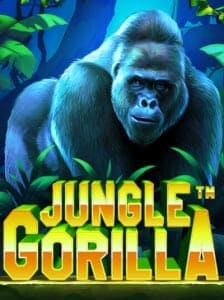 Jungle Gorilla